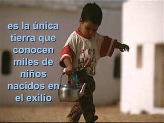 es la únicaes la única
tierra quetierra que
conocenconocen
miles demiles de
niñosniños
nacidos ennacidos en
el exilioel exilio
 