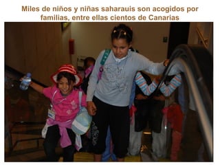 Miles de niños y niñas saharauis son acogidos por
familias, entre ellas cientos de Canarias
 