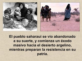 El pueblo saharaui se vio abandonado
a su suerte, y comienza un éxodo
masivo hacia el desierto argelino,
mientras preparan la resistencia en su
patria.
 
