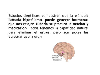 Estudios científicos demuestran que la glándula
llamada hipotálamo, puede generar hormonas
que nos relajan cuando se practica la oración y
meditación. Todos tenemos la capacidad natural
para eliminar el estrés, pero son pocas las
personas que la usan.
 
