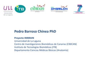 Pedro Barroso Chinea PhD
Proyecto IMBRAIN
Universidad de La Laguna
Centro de Investigaciones Biomédicas de Canarias (CIBICAN)
Instituto de Tecnologías Biomédicas (ITB)
Departamento Ciencias Médicas Básicas (Anatomía)
 