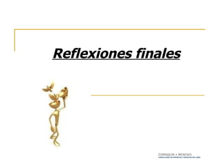 Reflexiones finales 