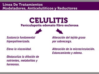 Línea De Tratamientos
Modeladores, Anticeluliticos y Reductores


                  CELULITIS
             Paniculapotía edemato ﬁbro esclerosa



  Sustancia fundamental         Alteración del tejido graso
  hiperpolimerizada.            por sobrecarga.

  Eleva la viscosidad.          Alteración de la microcirculación.
                                Estancamiento y edema.
  Obstaculiza la difusión de
  nutrientes, metabolitos y
  hormonas.
 