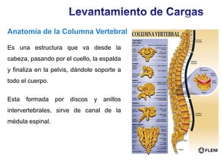 Anatomía de la Columna Vertebral
Es una estructura que va desde la
cabeza, pasando por el cuello, la espalda
y finaliza en la pelvis, dándole soporte a
todo el cuerpo.
Esta

formada

por

discos

y

anillos

intervertebrales, sirve de canal de la
médula espinal.

 
