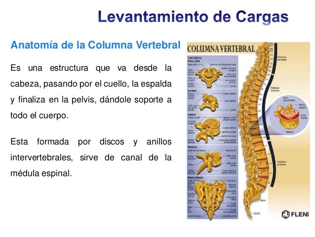 Charla levantamiento de cargas descargable