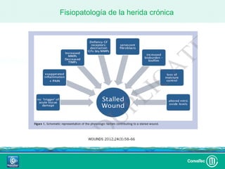 Fisiopatología de la herida crónica
 