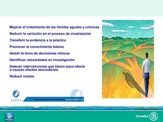 Mejorar el tratamiento de las heridas agudas y crónicas
Reducir la variación en el proceso de cicatrización
Transferir la evidencia a la práctica
Promover el conocimiento básico
Asistir la toma de decisiones clínicas
Identificar necesidades en investigación
Detener intervenciones que tienen poco efecto
o causan efectos secundarios
Reducir costos
 