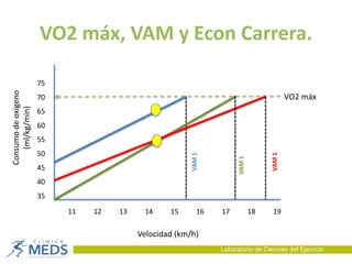 VO2 máx, VAM y Econ Carrera.
11 12 13 14 15 16 17 18 19
75
70
65
60
55
50
45
40
35
VO2 máx
Consumodeoxígeno
(ml/kg/min)
Velocidad (km/h)
VAM1
VAM1
VAM1
Laboratorio de Ciencias del Ejercicio
 