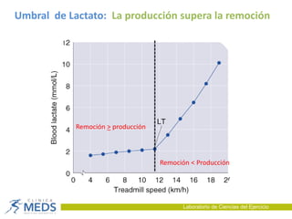 Umbral de Lactato: La producción supera la remoción
Remoción > producción
Remoción < Producción
Laboratorio de Ciencias del Ejercicio
 