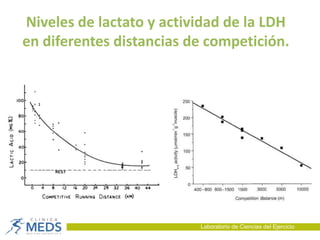 Laboratorio de Ciencias del Ejercicio
Niveles de lactato y actividad de la LDH
en diferentes distancias de competición.
 