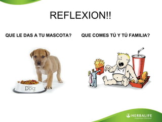 REFLEXION!! 
QUE LE DAS A TU MASCOTA? QUE COMES TÚ Y TÚ FAMILIA? 
 