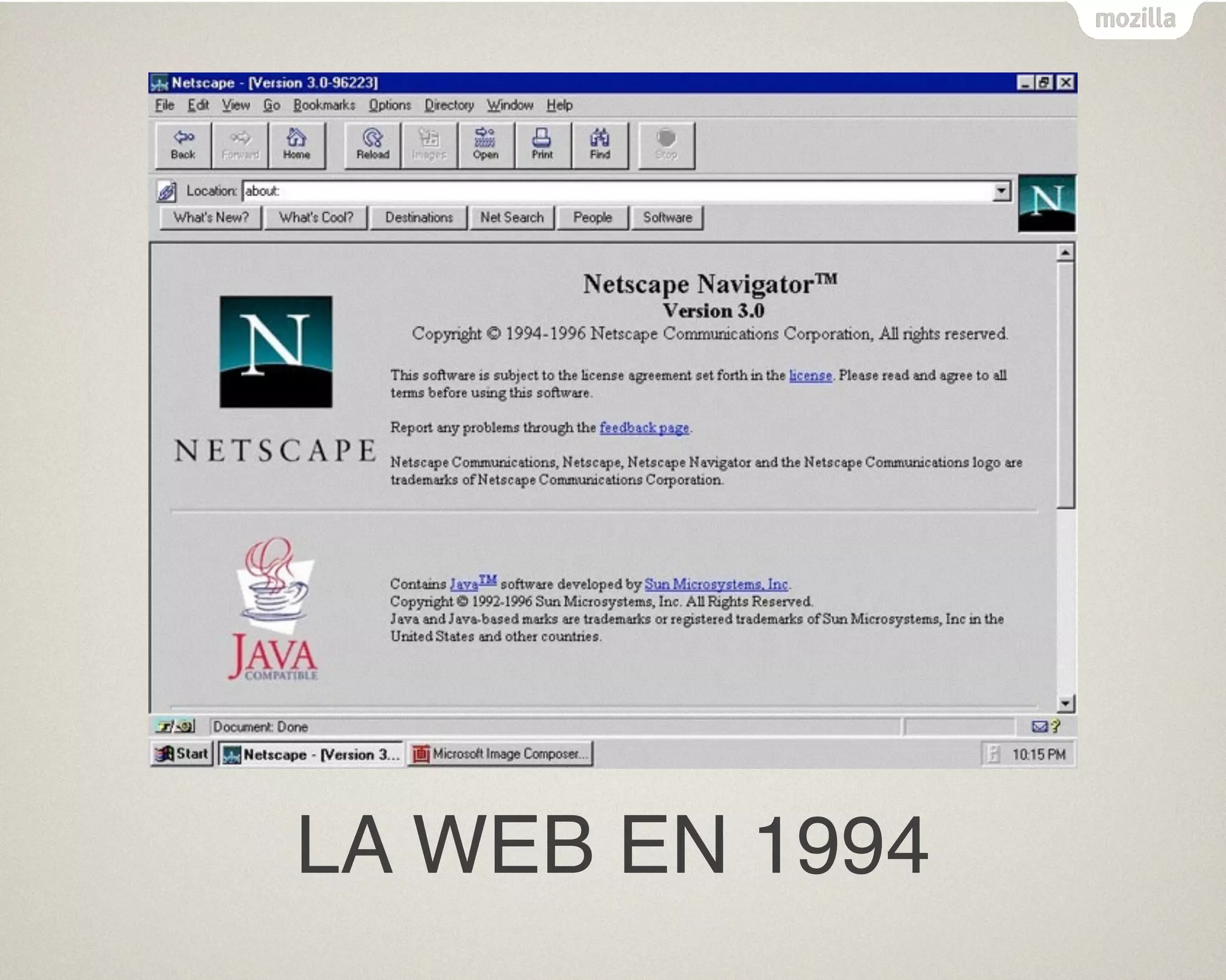 Text
LA WEB EN 1994