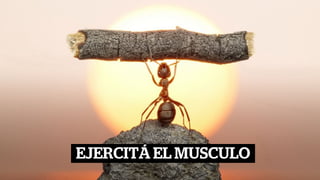 EJERCITÁ EL MUSCULO
 