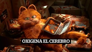 OXIGENA EL CEREBRO
 
