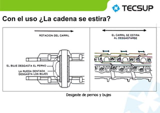 Con el uso ¿La cadena se estira?
 