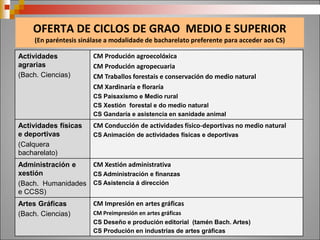 Industrias
alimentarias
(Bach. Ciencias)
CM Aceites de oliva e viños
CM Elaboración de produtos alimentarios
CS Procesos e calidade na industria alimentaria
CS Vitivinicultura
Informática e
comunicacións
(Bach. Ciencias)
CM Sistemas microinformáticos e redes
CS Administración de sistemas informáticos en rede
CS Desenvolvemento de aplicacións multiplataforma
CS Desenvolvemento de aplicacións web
Instalación e
mantemento
(Bach. Ciencias)
CM Mantemento electromecánico
CM Instalacións de produción de calor
CM Instalacións frigoríficas e de climatización
CS Desenvolvemento de proxectos de instalacións térmicas e de fluídos
CS Mecatrónica industrial
CS Mantemento de instalacións térmicas e de fluídos
CS Prevención de riscos profesionais (Bach. Ciencias e Hum. e CCSS)
Madeira, moble e
cortiza
(Bach. Ciencias)
(Bach. Artes)
CM Carpintaría e moble
CS Deseño e amoblamento
 