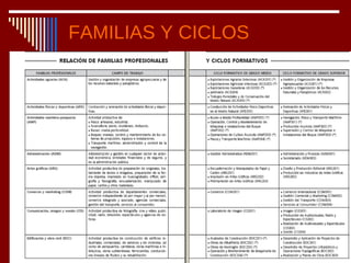 FAMILIAS Y CICLOS 