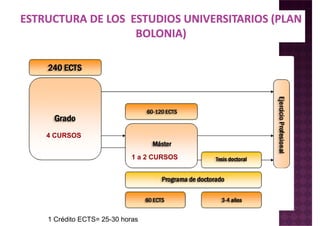4 CURSOS
1 a 2 CURSOS
1 Crédito ECTS= 25-30 horas
 