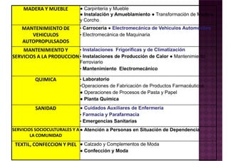 MADERA Y MUEBLE ● Carpintería y Mueble
● Instalación y Amueblamiento ● Transformación de Madera
y Corcho
MANTENIMIENTO DE
VEHICULOS
AUTOPROPULSADOS
• Carrocería ● Electromecánica de Vehículos Automóviles
• Electromecánica de Maquinaria
MANTENIMIENTO Y
SERVICIOS A LA PRODUCCION
• Instalaciones Frigoríficas y de Climatización
Instalaciones de Producción de CalorSERVICIOS A LA PRODUCCION• Instalaciones de Producción de Calor ● Mantenimiento
Ferroviario
• Mantenimiento Electromecánico
QUIMICA • Laboratorio
•Operaciones de Fabricación de Productos Farmacéuticos
● Operaciones de Procesos de Pasta y Papel
● Planta Química
SANIDAD ● Cuidados Auxiliares de EnfermeríaSANIDAD ● Cuidados Auxiliares de Enfermería
• Farmacia y Parafarmacia
• Emergencias Sanitarias
SERVICIOS SOCIOCULTURALES Y A
LA COMUNIDAD
● Atención a Personas en Situación de Dependencia
TEXTIL, CONFECCION Y PIEL ● Calzado y Complementos de Moda
● Confección y Moda
 