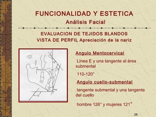 28
FUNCIONALIDAD Y ESTETICA
Análisis Facial
EVALUACION DE TEJIDOS BLANDOS
VISTA DE PERFIL Apreciación de la nariz
Angulo Mentocervical
Línea E y una tangente al área
submental
110-120°
Angulo cuello-submental
tangente submental y una tangente
del cuello
hombre 126° y mujeres 121°
 