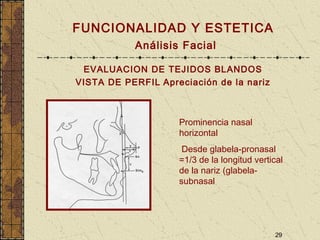 29
FUNCIONALIDAD Y ESTETICA
Análisis Facial
EVALUACION DE TEJIDOS BLANDOS
VISTA DE PERFIL Apreciación de la nariz
Prominencia nasal
horizontal
Desde glabela-pronasal
=1/3 de la longitud vertical
de la nariz (glabela-
subnasal
 