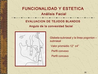 35
FUNCIONALIDAD Y ESTETICA
Análisis Facial
EVALUACION DE TEJIDOS BLANDOS
Angulo de la convexidad facial
Glabela-subnasal y la linea pogonion –
subnasal
Valor promedio 12° ±4°
Perfil convexo
Perfil concavo
 