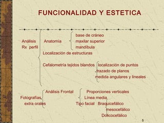 5
FUNCIONALIDAD Y ESTETICA
base de cráneo
Análisis Anatomía maxilar superior
Rx perfil mandíbula
Localización de estructuras
Cefalometría tejidos blandos localización de puntos
trazado de planos
medida angulares y lineales
Análisis Frontal Proporciones verticales
Fotografías Línea media
extra orales Tipo facial Braquicefálico
mesocefálico
Dolicocefálico
 