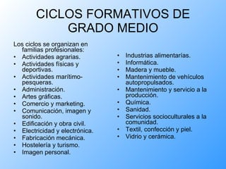 CICLOS FORMATIVOS DE GRADO MEDIO Los ciclos se organizan en familias profesionales: Actividades agrarias. Actividades físicas y deportivas. Actividades marítimo-pesqueras. Administración. Artes gráficas. Comercio y marketing. Comunicación, imagen y sonido. Edificación y obra civil. Electricidad y electrónica. Fabricación mecánica. Hostelería y turismo. Imagen personal. Industrias alimentarías. Informática. Madera y mueble. Mantenimiento de vehículos autopropulsados. Mantenimiento y servicio a la producción. Química. Sanidad. Servicios socioculturales a la comunidad. Textil, confección y piel. Vidrio y cerámica. 
