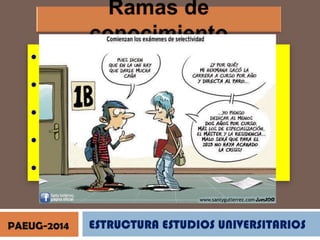 • Artes y humanidades
• Ciencias

• Ciencias de la salud
• Ciencias sociales y jurídicas

• Ingeniería y arquitectura
PAEUG-2014

ESTRUCTURA ESTUDIOS UNIVERSITARIOS

 