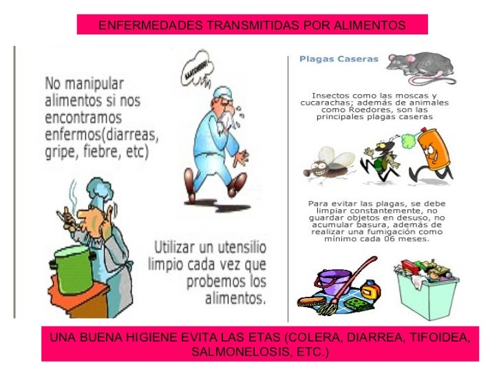 manipulaci n alimentos manipulacion de alimentos manipulaci 243 n de alimentos manipulaci n alimentos manipulacion de alimentos manipulaci 243 n de alimentos