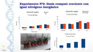 Experimento Nº2: Dosis compost creciente con 
igual nitrógeno inorgánico
Control C1 C2 C3
0
4
8
12
16
20
Desarrollo vegeta...