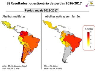 Sociedad Latinoamericana
de Investigación en Abejas
3)	Resultados:	ques4onário	de	perdas	2016-2017	
Perdas	anuais	2016-2017	
Min	=	0%	(Cuba)	
Max	=	41.0%	(Brasil)	
Min	=	12.6%	(Ecuador,	Peru)	
Max	=	56.1%	(Chile)	
Abelhas	melíferas	 Abelhas	na@vas	sem	ferrão	
0
15
30
45
60
%	Perdas	
 