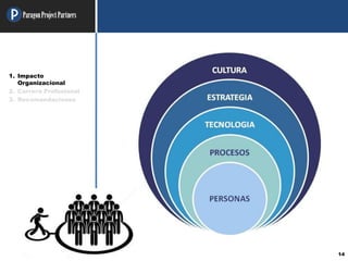 ParagonProjectPartners
14
1. Impacto
Organizacional
2. Carrera Profesional
3. Recomendaciones
 