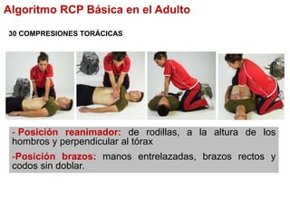 30 COMPRESIONES TORÁCICAS
- Posición reanimador: de rodillas, a la altura de los
hombros y perpendicular al tórax
-Posición brazos: manos entrelazadas, brazos rectos y
codos sin doblar.
Algoritmo RCP Básica en el Adulto
 