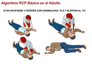 SI NO RESPONDE Y RESPIRA CON NORMALIDAD: PLS Y ALERTAR AL 112
Algoritmo RCP Básica en el Adulto
 