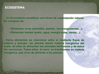 ECOSISTEMAUn Ecosistema constituye una forma de organización natural. Se compone de:
