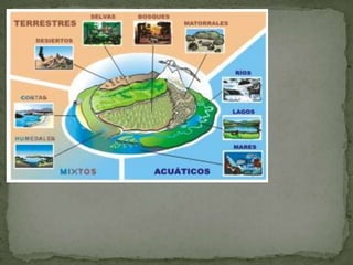 Elementos inertes (suelo, agua, energía solar, viento…).