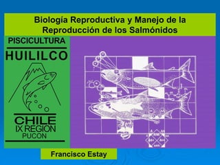 Biología Reproductiva y Manejo de la
Reproducción de los Salmónidos
Francisco Estay
 