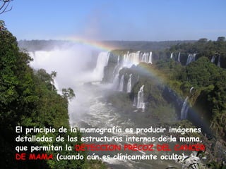 El principio de la mamografía es producir imágenes
detalladas de las estructuras internas de la mama,
que permitan la DETECCION PRECOZ DEL CANCER
DE MAMA (cuando aún es clínicamente oculto)
 