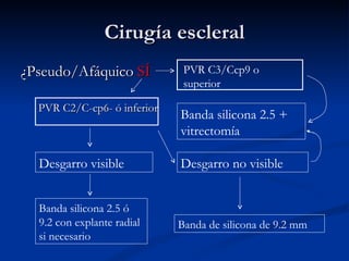 Cirugía escleral ¿Pseudo/Afáquico  SÍ PVR C2/C-cp6- ó inferior PVR C3/Ccp9 o superior Desgarro visible Banda silicona 2.5 ó 9.2 con explante radial si necesario Desgarro no visible Banda silicona 2.5 + vitrectomía Banda de silicona de 9.2 mm 