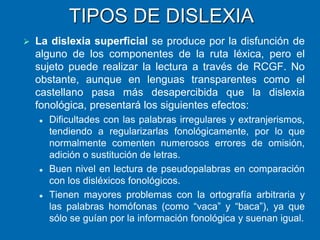Charla Dislexia Asturias Santullano 13 5-2017