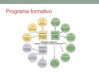 Programa formativo