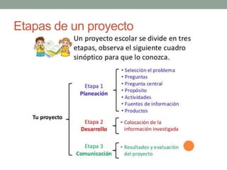 Etapas de un proyecto