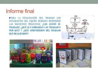 Informe final