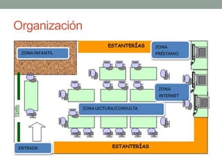 Organización