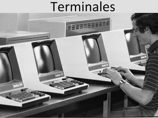 Terminales	
  

 