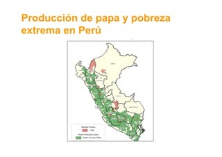 La Papa: El sector papa en la region andina: situacion actual y desafios Slide 24