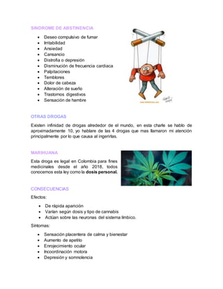 SINDROME DE ABSTINENCIA
 Deseo compulsivo de fumar
 Irritabilidad
 Ansiedad
 Cansancio
 Distrofia o depresión
 Disminución de frecuencia cardiaca
 Palpitaciones
 Temblores
 Dolor de cabeza
 Alteración de sueño
 Trastornos digestivos
 Sensación de hambre
OTRAS DROGAS
Existen infinidad de drogas alrededor de el mundo, en esta charle se hablo de
aproximadamente 10, yo hablare de las 4 drogas que mas llamaron mi atención
principalmente por lo que causa al ingerirlas.
MARIHUANA
Esta droga es legal en Colombia para fines
medicinales desde el año 2018, todos
conocemos esta ley como la dosis personal.
CONSECUENCIAS
Efectos:
 De rápida aparición
 Varían según dosis y tipo de cannabis
 Actúan sobre las neuronas del sistema límbico.
Síntomas:
 Sensación placentera de calma y bienestar
 Aumento de apetito
 Enrojecimiento ocular
 Incoordinación motora
 Depresión y somnolencia
 