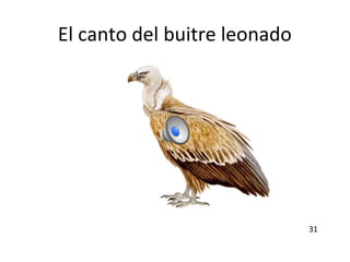 El canto del buitre leonado
31
 