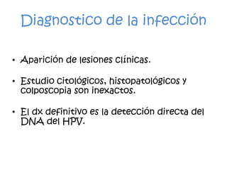 Diagnostico de la infección
• Aparición de lesiones clínicas.
• Estudio citológicos, histopatológicos y
colposcopia son inexactos.
• El dx definitivo es la detección directa del
DNA del HPV.